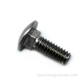 Round Head Square Neck SS Carriage Bolt